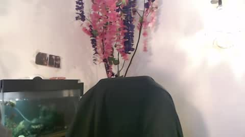 Nick online show from December 6, 2024, 4:17 pm