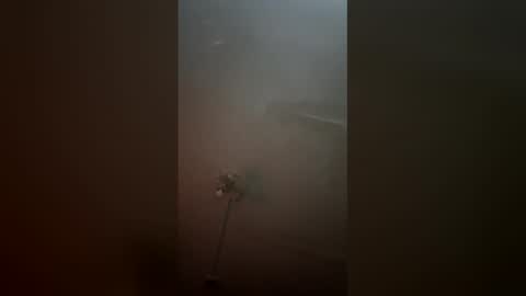 jnoseh23 online show from April 16, 2026, 10:05 am