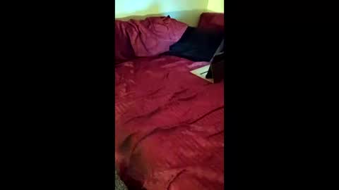 joeborrowman7 online show from March 1, 2026, 8:38 am