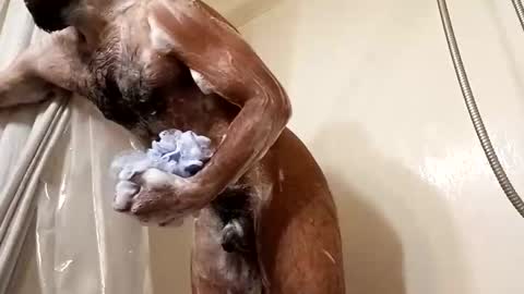 johenxxx online show from November 25, 2025, 8:58 am