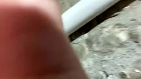 Snapshot of johnny_deep_420 chatting on January 21, 2025, 6:23 pm Johnny online show from January 21, 2025, 6:23 pm