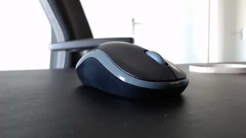 Johnny Walker13 online show from February 1, 2025, 11:54 am