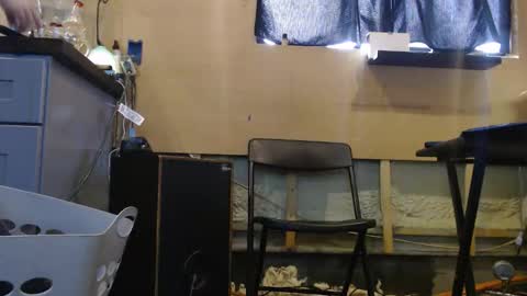 Snapshot of johnplayer23 chatting on December 22, 2025, 4:59 pm johnplayer23 online show from December 22, 2025, 4:59 pm