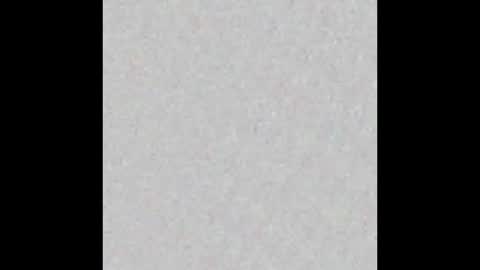 Jolene online show from February 2, 2026, 9:30 am