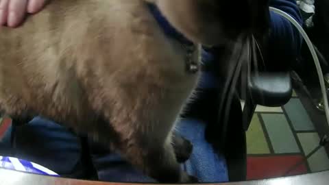 jonsexy1958 online show from January 6, 2025, 11:31 pm