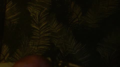 John online show from January 22, 2025, 4:55 am