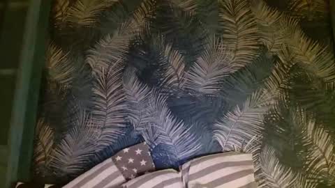 John online show from January 24, 2025, 10:51 pm