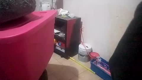 jose_longoria266 online show from January 19, 2026, 1:42 am