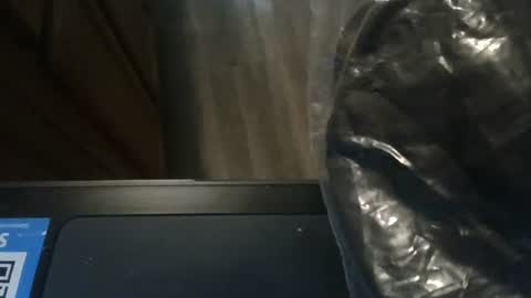 Snapshot of josephung1 chatting on January 8, 2025, 11:09 pm sissy josphine online show from January 8, 2025, 11:09 pm