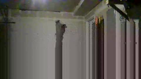 Snapshot of josephung1 chatting on October 14, 2025, 6:36 am sissy josphine online show from October 14, 2025, 6:36 am