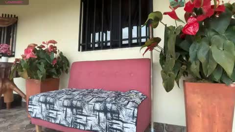 Im Jouliano online show from February 8, 2026, 10:57 pm