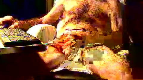 Snapshot of joystik4u60 chatting on November 2, 2025, 1:35 pm joystik4u60 online show from November 2, 2025, 1:35 pm