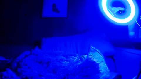 Snapshot of jroge21 chatting on March 9, 2025, 3:22 am jroge21 online show from March 9, 2025, 3:22 am