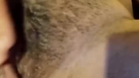 jsjsjdjsjjdx online show from January 9, 2026, 3:53 am