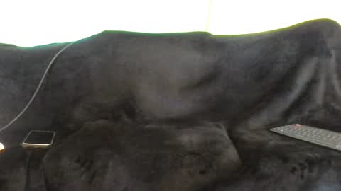 Snapshot of juanmamestre94 chatting on October 7, 2025, 1:41 pm juanmamestre94 online show from October 7, 2025, 1:41 pm