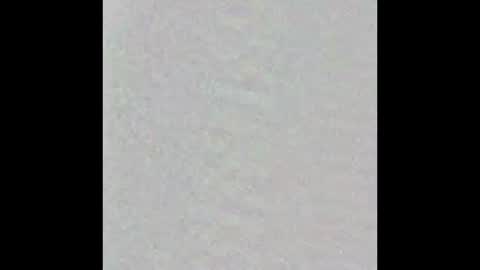 Born Sinner online show from February 23, 2025, 3:29 pm