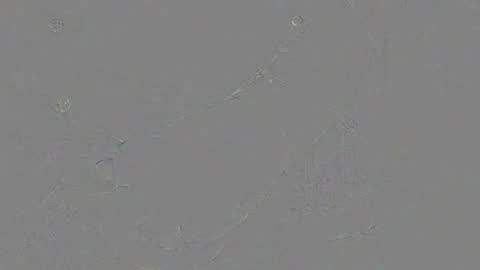 Snapshot of juergen_schoenfeld chatting on November 24, 2025, 10:48 am Jrgen Schnfeld online show from November 24, 2025, 10:48 am