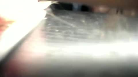 Den  online show from March 23, 2026, 12:53 pm