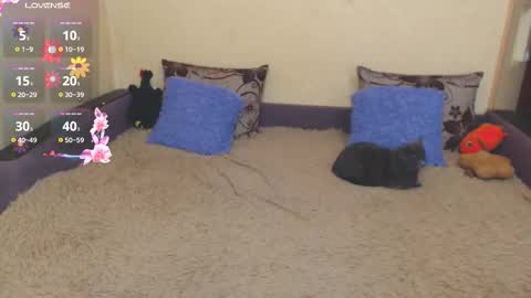 Jul online show from February 5, 2026, 7:35 am