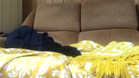 julieface87416760 online show from June 10, 2026, 2:16 pm