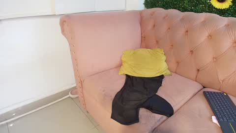 Juli online show from December 16, 2024, 12:04 am