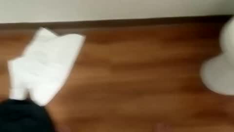 Snapshot of junior69king chatting on January 19, 2025, 12:06 pm manolito online show from January 19, 2025, 12:06 pm