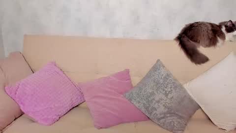 Alex Alexandra online show from June 24, 2026, 1:15 am