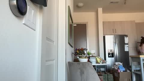 Snapshot of justababydoll chatting on February 12, 2026, 9:43 pm Stella online show from February 12, 2026, 9:43 pm