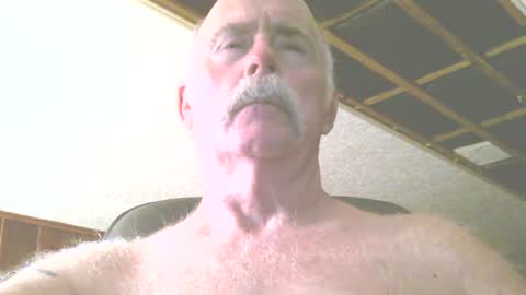 justdon online show from July 17, 2026, 3:29 pm
