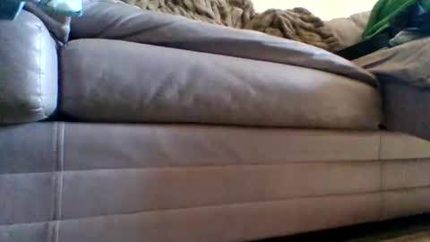 justgrosch4200 online show from February 27, 2026, 5:46 pm