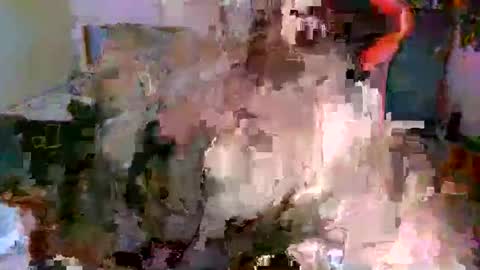 Snapshot of juteja chatting on October 13, 2025, 9:15 pm juteja online show from October 13, 2025, 9:15 pm