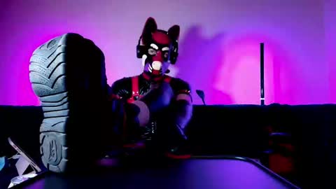 Snapshot of k9_goodboy chatting on March 1, 2026, 7:05 pm Alex online show from March 1, 2026, 7:05 pm