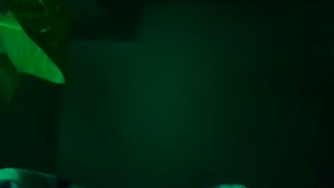 Karla Gonzaless online show from November 13, 2025, 7:29 am