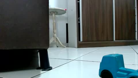 Snapshot of kasaltaradinho chatting on October 9, 2025, 8:29 pm Tamires e Maicon online show from October 9, 2025, 8:29 pm