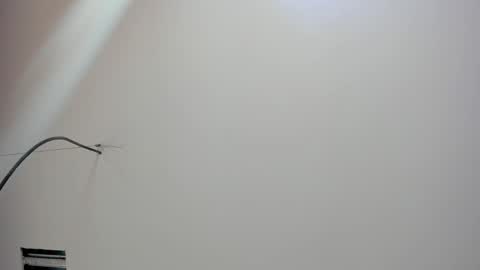 Snapshot of kate_bunny_ chatting on February 18, 2026, 12:01 pm Kate online show from February 18, 2026, 12:01 pm