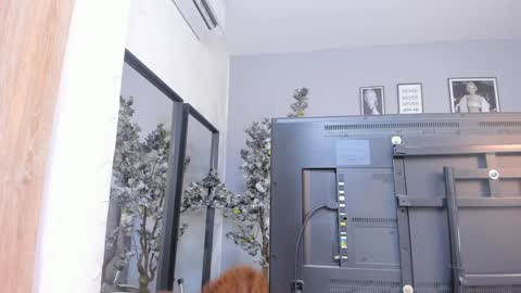 Katerine online show from January 18, 2025, 10:28 am