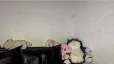 kattia online show from March 16, 2026, 3:23 am