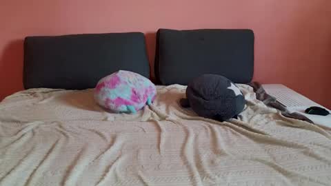 katusha008 online show from March 31, 2026, 2:17 pm