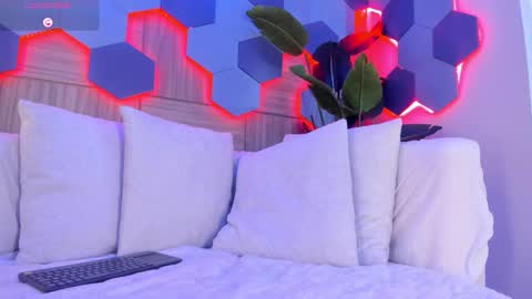    online show from February 19, 2026, 8:05 pm