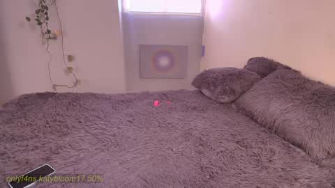    online show from February 21, 2026, 4:08 pm