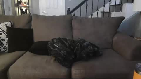 Snapshot of katycouple2003 chatting on October 5, 2025, 5:17 am katycouple2003 online show from October 5, 2025, 5:17 am