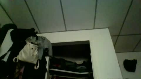 kaylee kakes online show from March 9, 2026, 6:56 pm