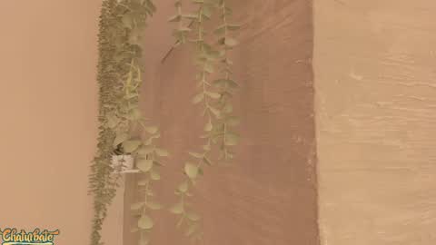 keirahartz online show from April 16, 2026, 12:28 pm