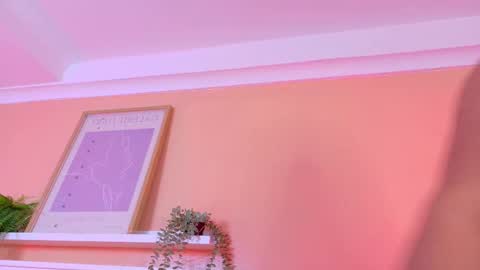   online show from November 27, 2025, 10:17 am