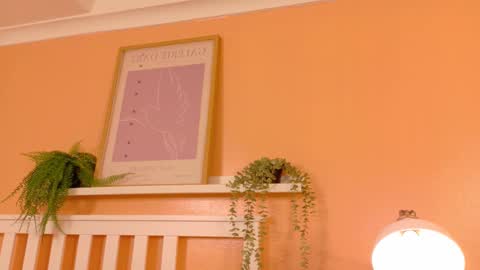   online show from February 10, 2026, 9:02 am