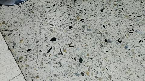 Kendra London online show from April 10, 2026, 11:59 am