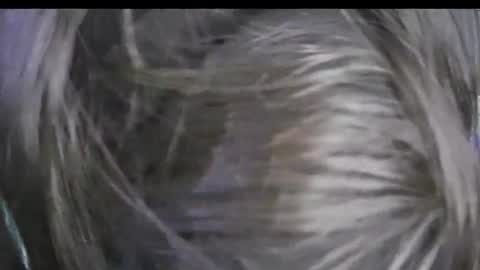 Keyla online show from January 17, 2026, 4:00 pm