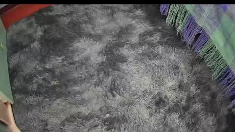 Keyla online show from April 17, 2026, 9:29 pm