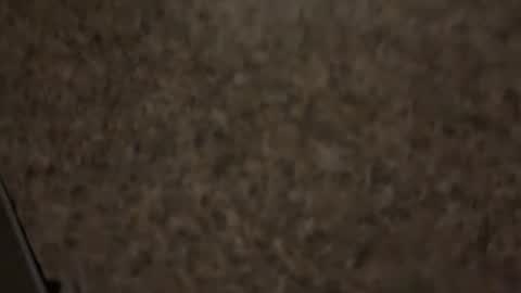 Kilo Carter online show from May 28, 2026, 4:54 am
