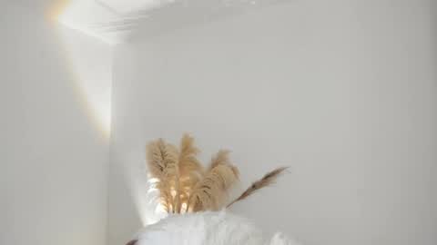 Snapshot of kim_murphy chatting on October 18, 2025, 12:28 pm Kim Murphy online show from October 18, 2025, 12:28 pm